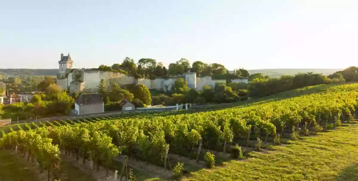 TOURISME - Auberge Du Cheval Blanc - restaurant BEAUMONT-PIED-DE-BOEUF - meilleur resto BEAUMONT-PIED-DE-BOEUF